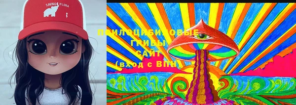 гашик Балахна
