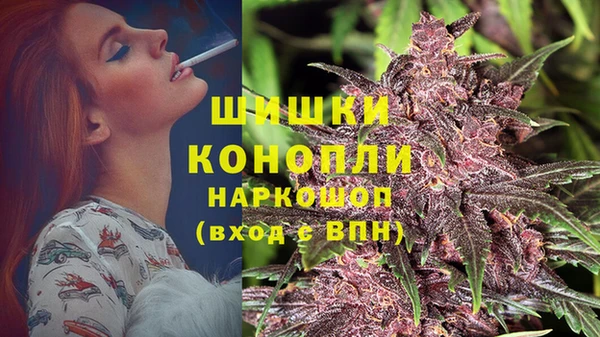 гашик Балахна