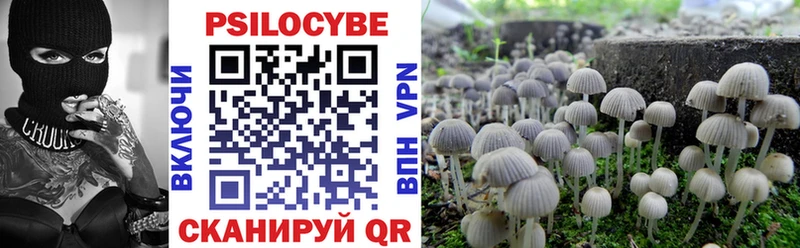 Псилоцибиновые грибы Psilocybe  Ветлуга 